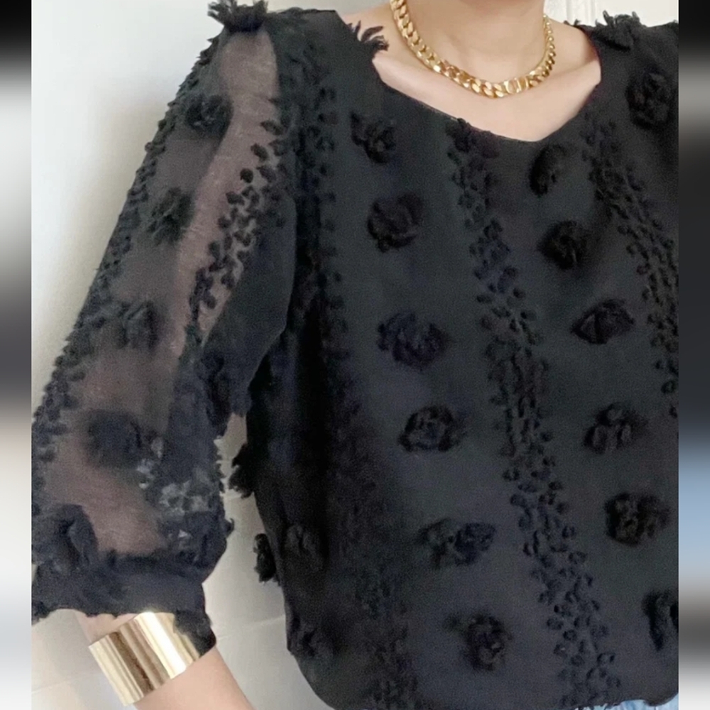 SHEIN Black Sheer Mesh Long Sleeve Textured 3D Tufted Pom-Pom Blouse W's Sz M